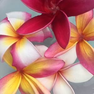 Meet your Posher, Heesang